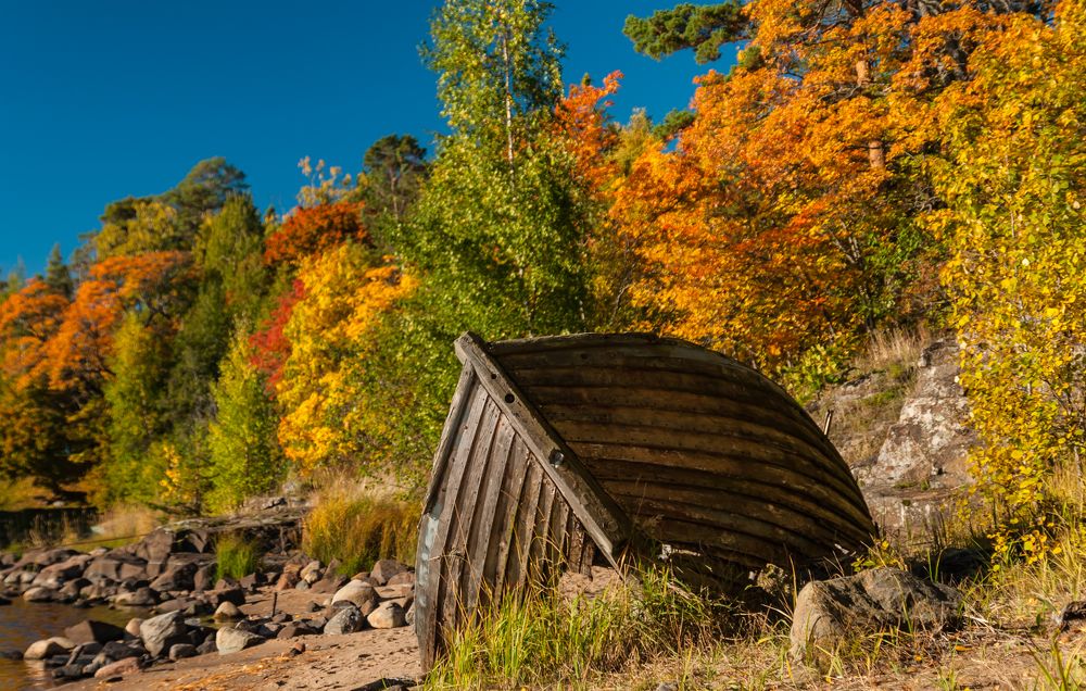 Фотография автора Олег Анатольевич Загорулько