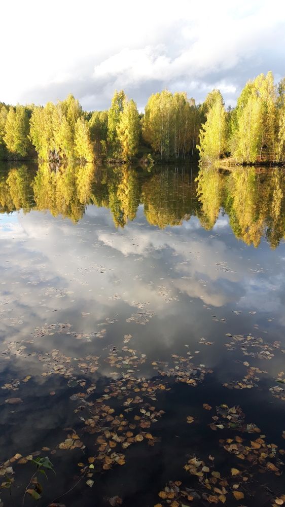 Photo #8160493