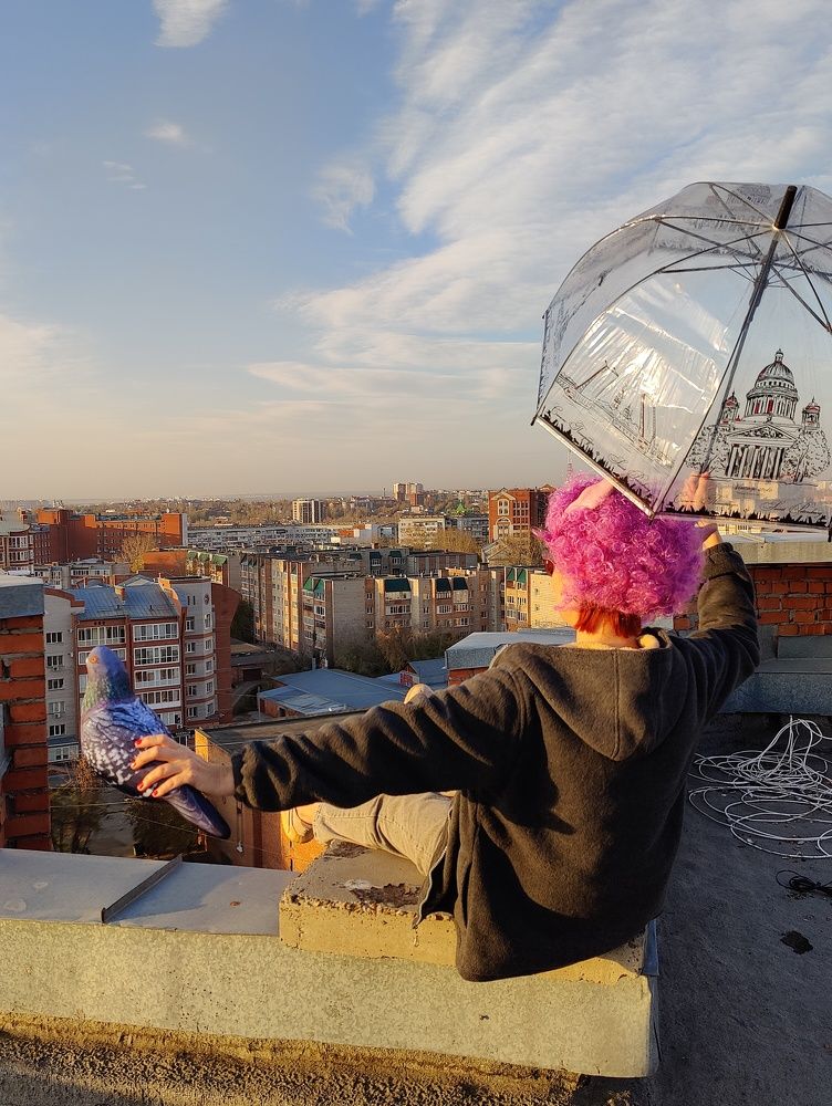 Любовь и голуби