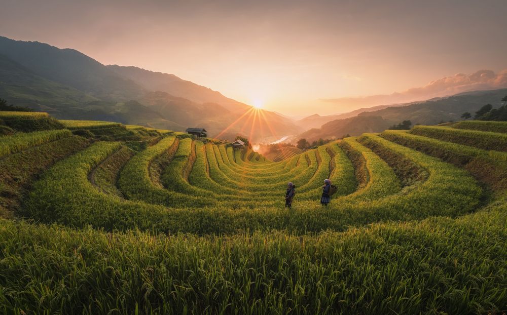 Photograph by Nguyen Ngoc Tuan