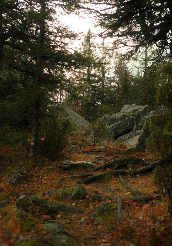 Photograph by Антон Е