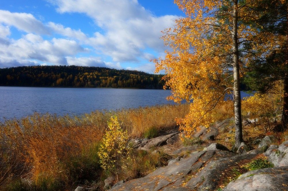 Photograph by Сергей Афанасьев