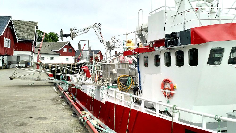 Photograph by Epp Tappel