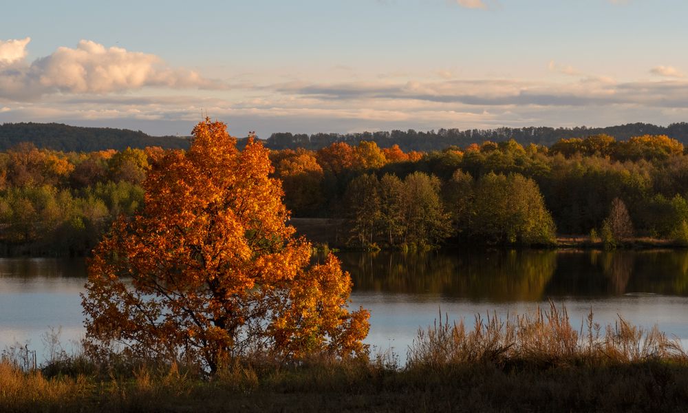 Photograph by Артём Аниськин