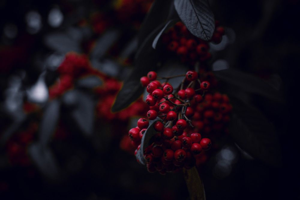 Photograph by Akshay Kshirasagar