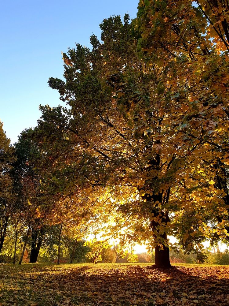 Photograph by Наталья Пагоцкая