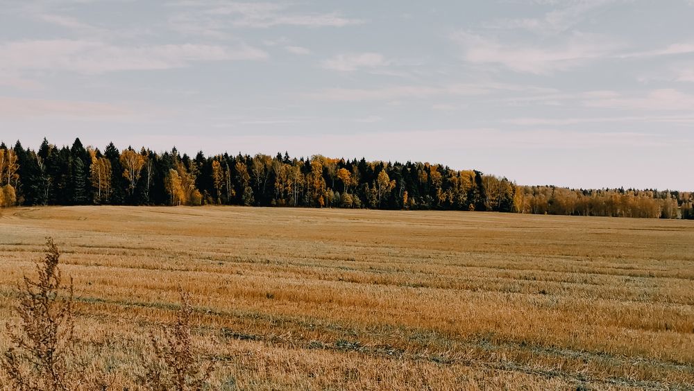 Photograph by Валерия Марцинковская