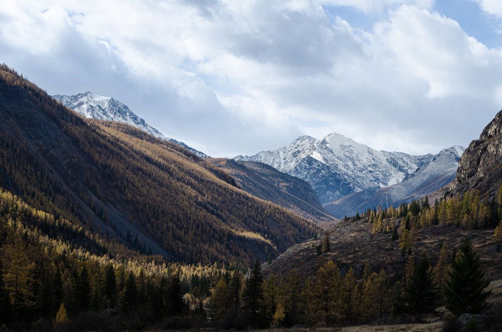 Фотография автора Сергей Королёв
