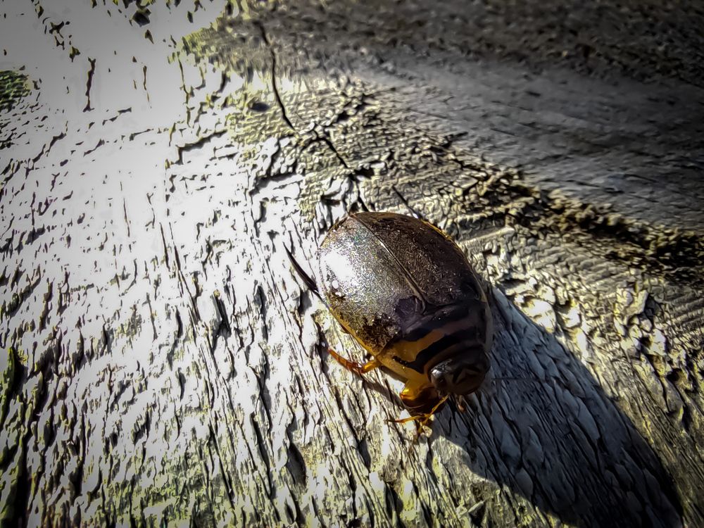 Photograph by Екатерина Слепнева