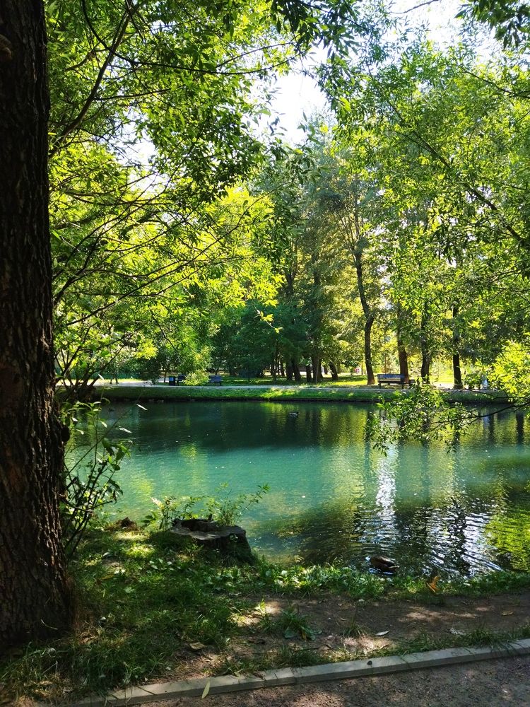 Фотография автора Ольга