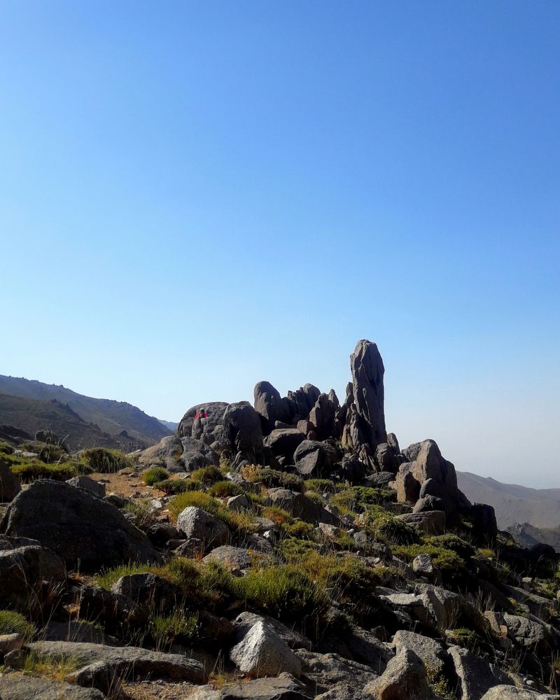 Фотография автора mohammadreza izadi