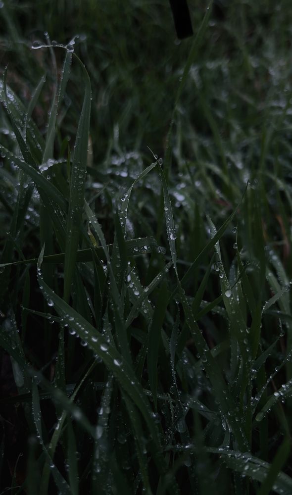 Photograph by Стрелкина Алиса