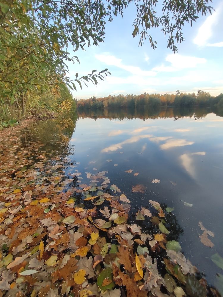 Photograph by Акамова Людмила