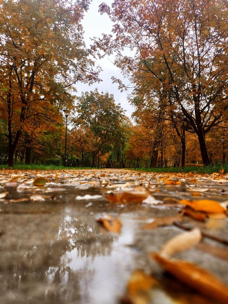 Photograph by Акамова Людмила