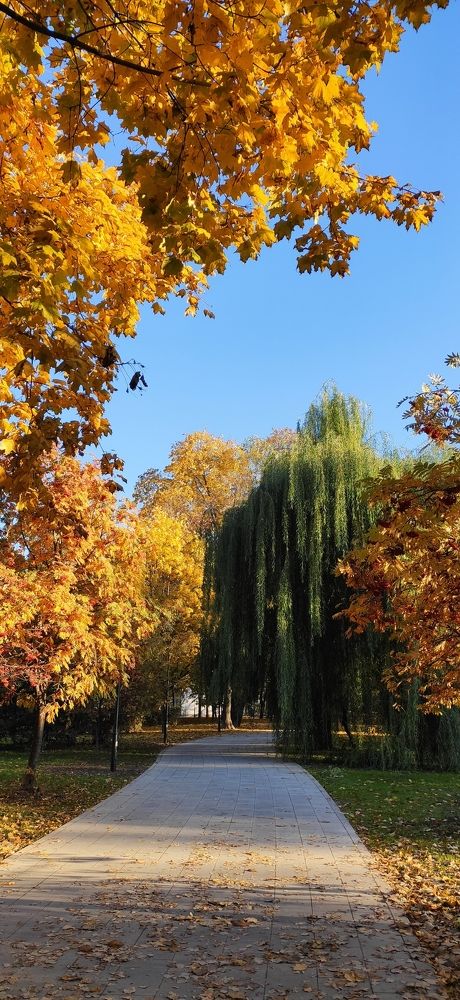 Осеняя пора