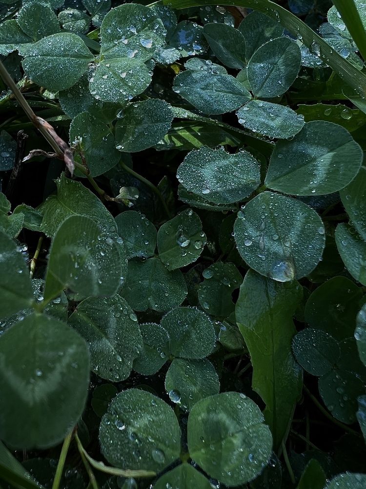 Photograph by Стрелкина Алиса