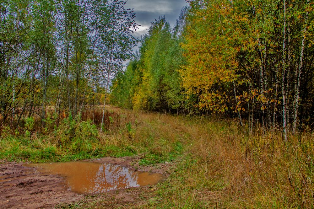 Photograph by Владимир Иванович