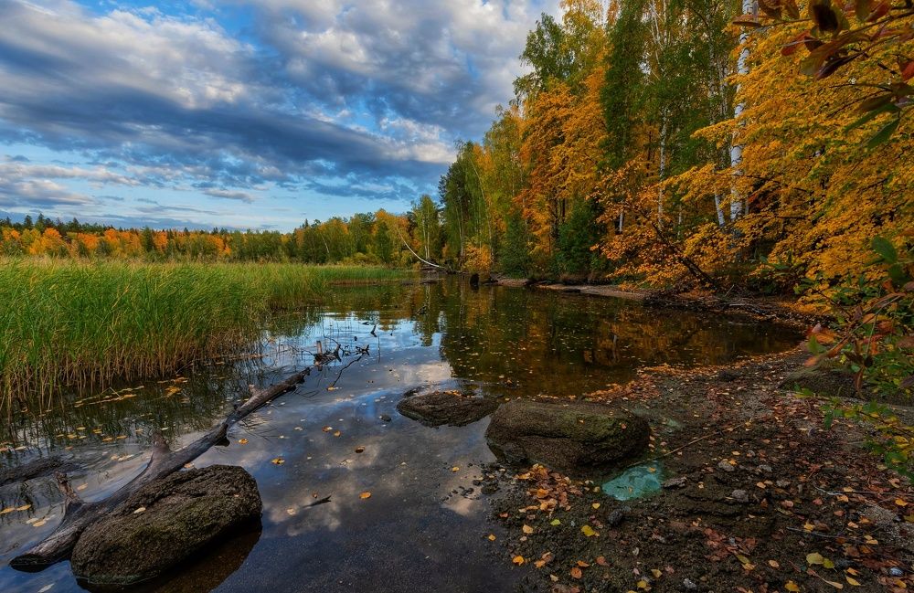 Photograph by Максим Ватрушкин