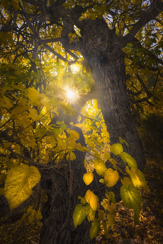 Photograph by Idan Livni