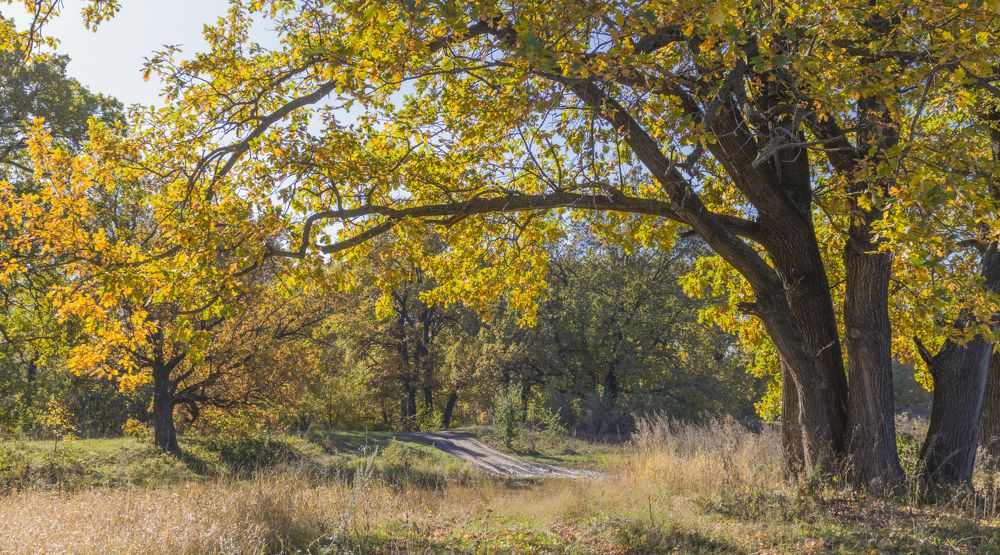 Photograph by Sergey Paramonov