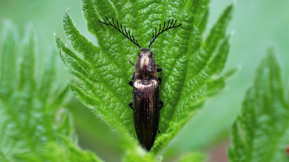 Photograph by Константин Власов