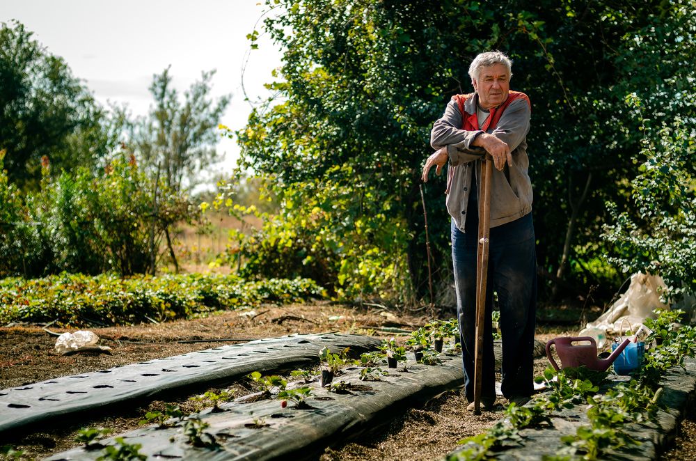 Photograph by Владимир Зайцев