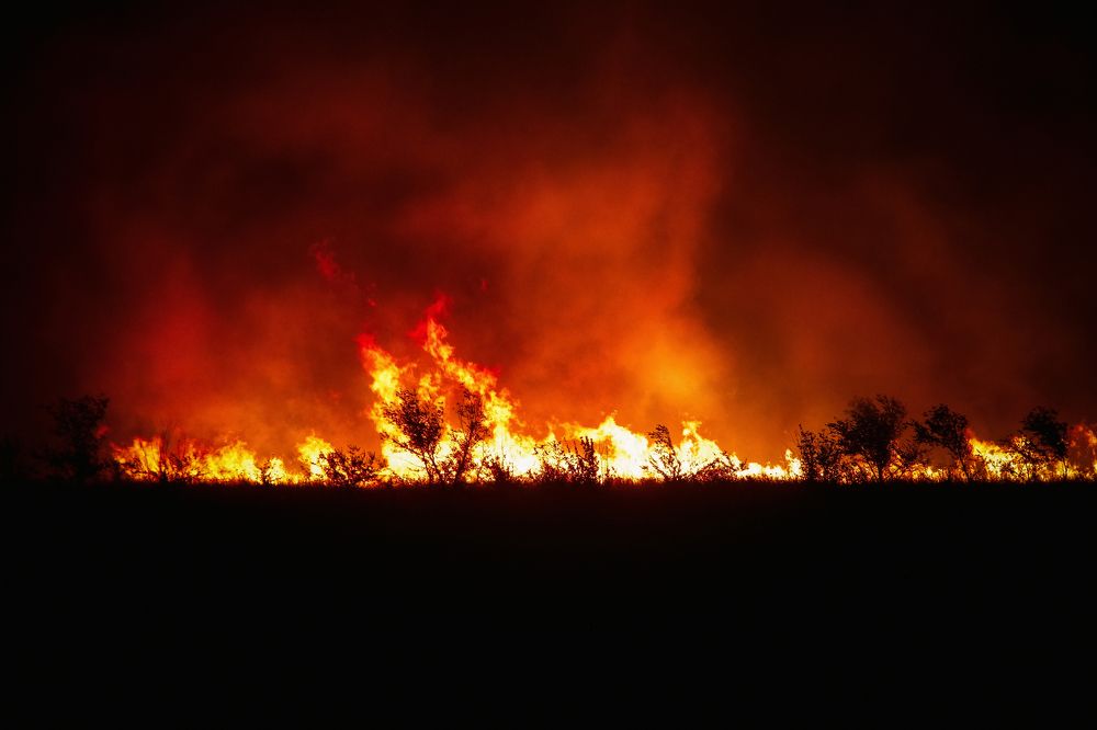 Photograph by Владимир Зайцев