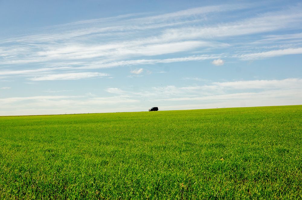Фотография автора Николай Нестеренко