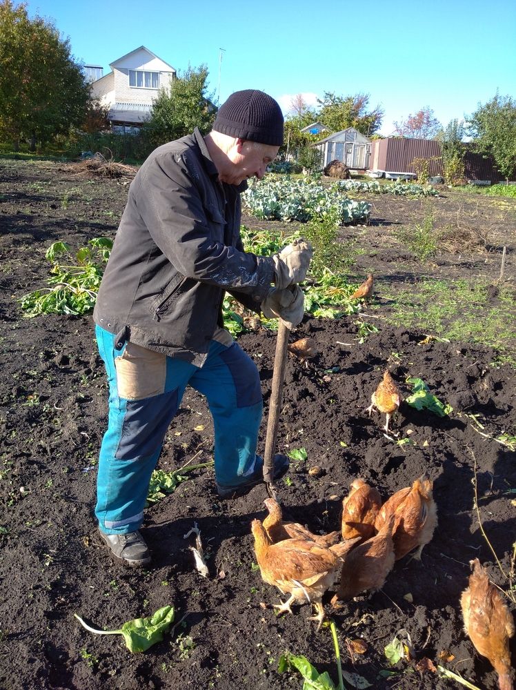 Photograph by Елена Коробченко