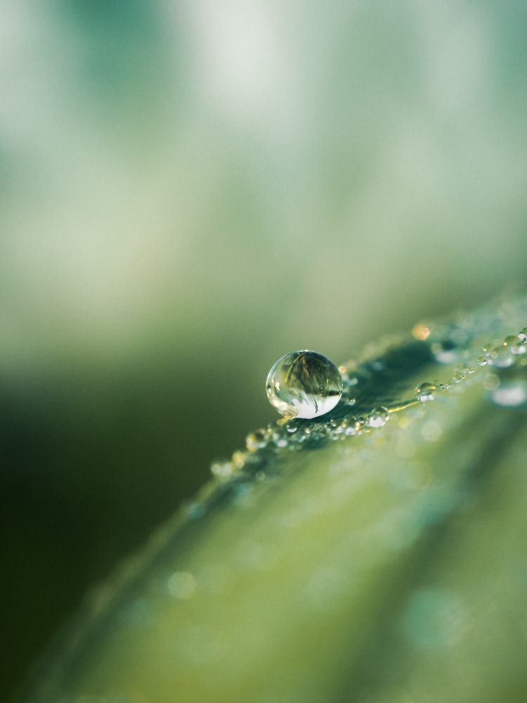 Photograph by Светлана Шибаршина