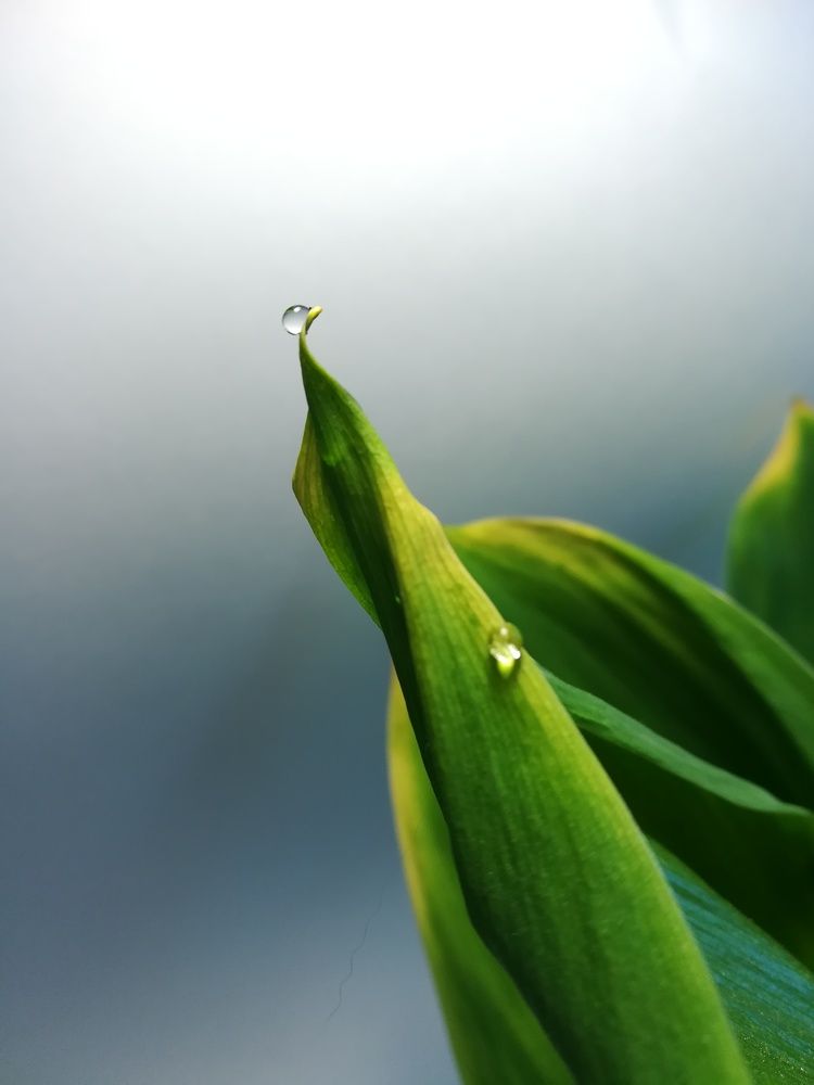 Photograph by Светлана Шибаршина