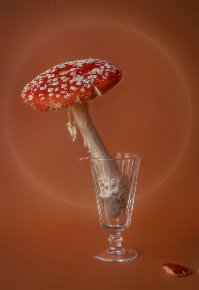 Photograph by Svoboda Andreeva