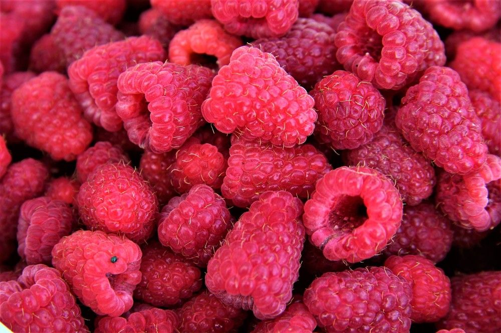 Photograph by НАТАЛЬЯ РОДИНА