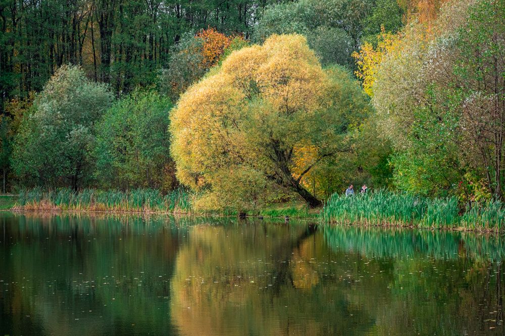 Фотография автора 