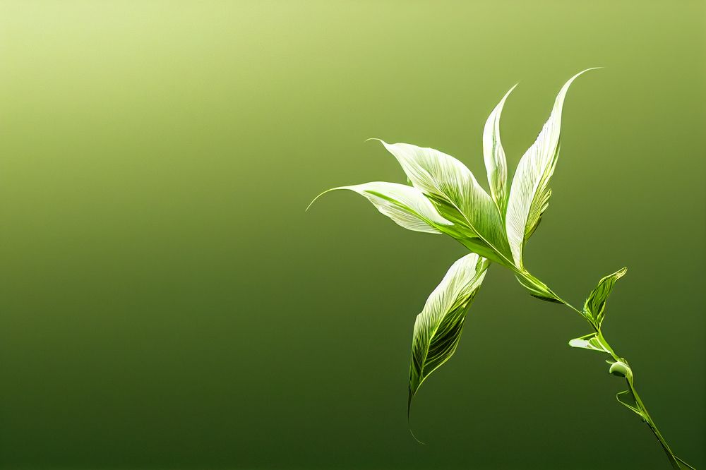 Photograph by jairo xavier elias avalos