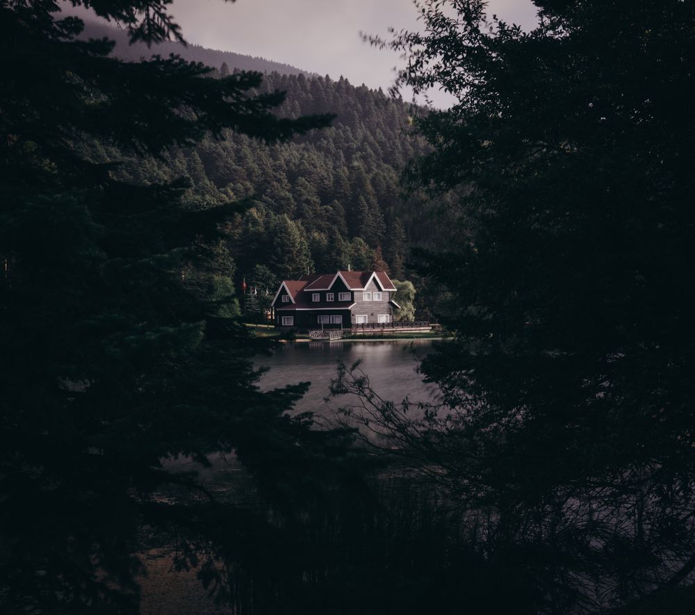 Фотография автора Mohammad Alhadhoud