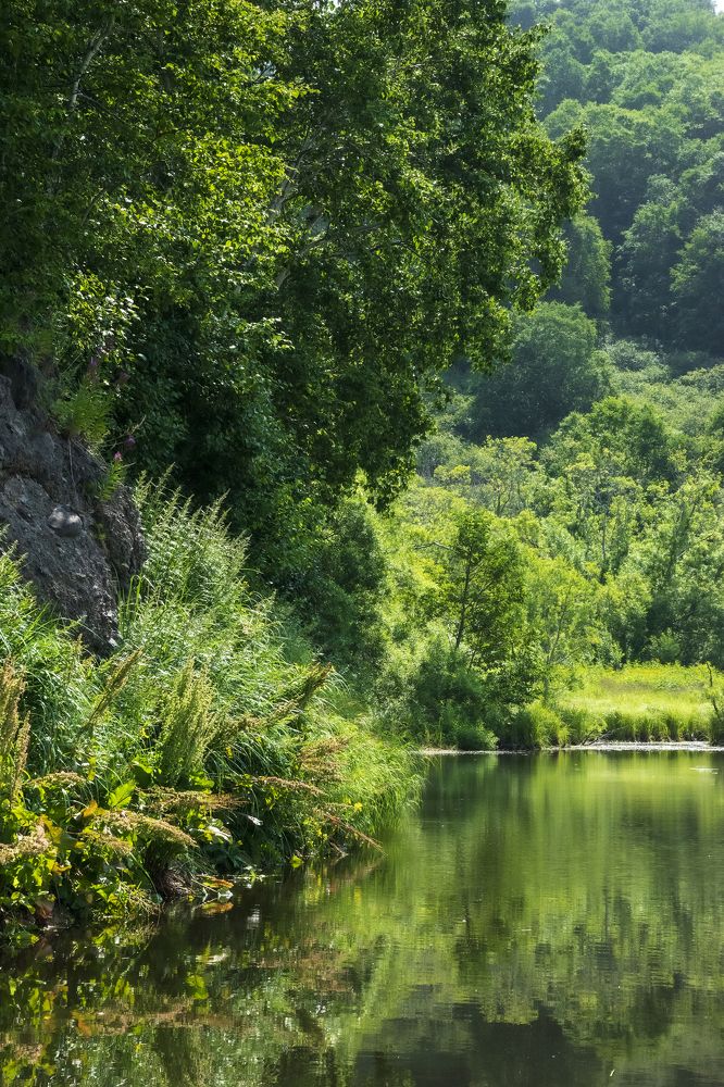 Утро на речке