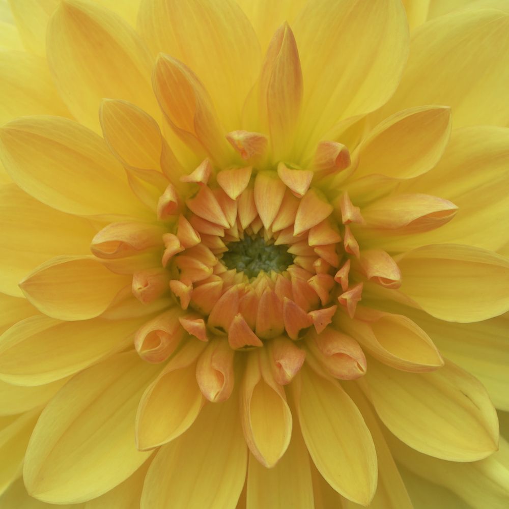 Photograph by Серегина Ирина