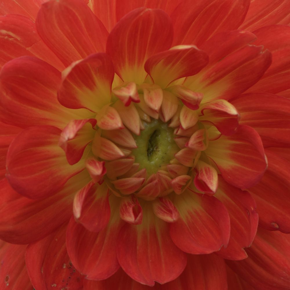 Photograph by Серегина Ирина