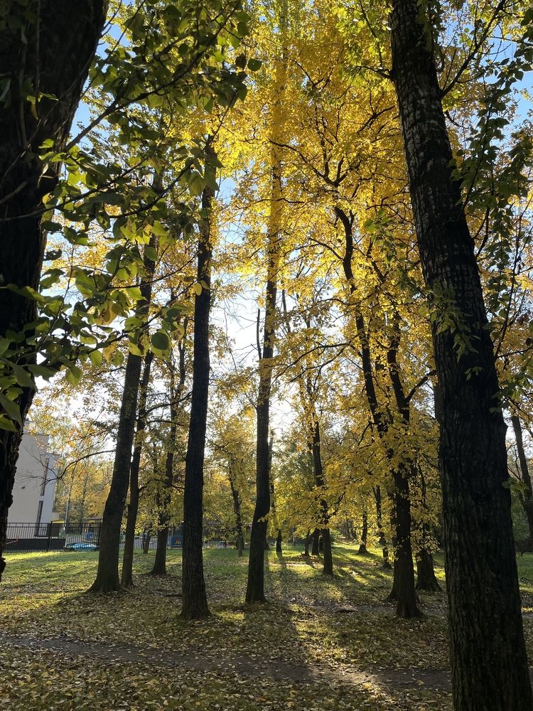 Photograph by Надежда Заломаева