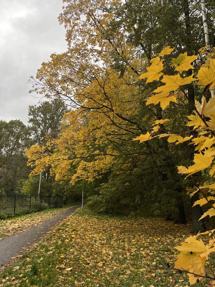 Photograph by Надежда Заломаева