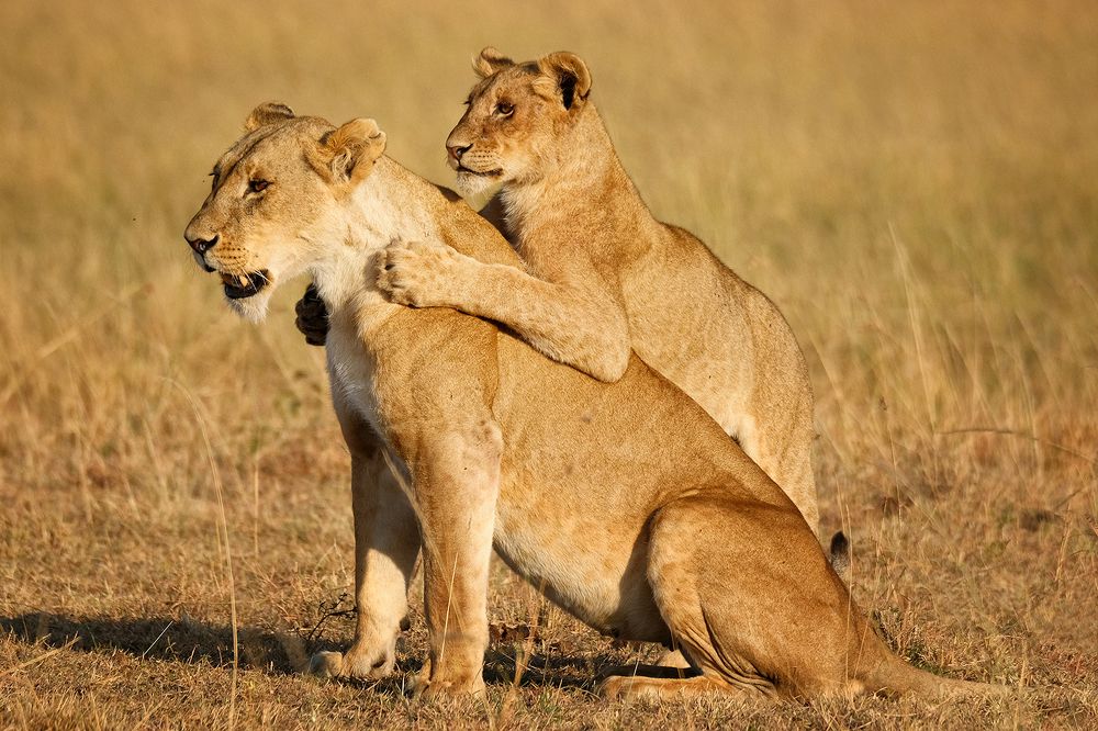 Photograph by Ирина Худзинская