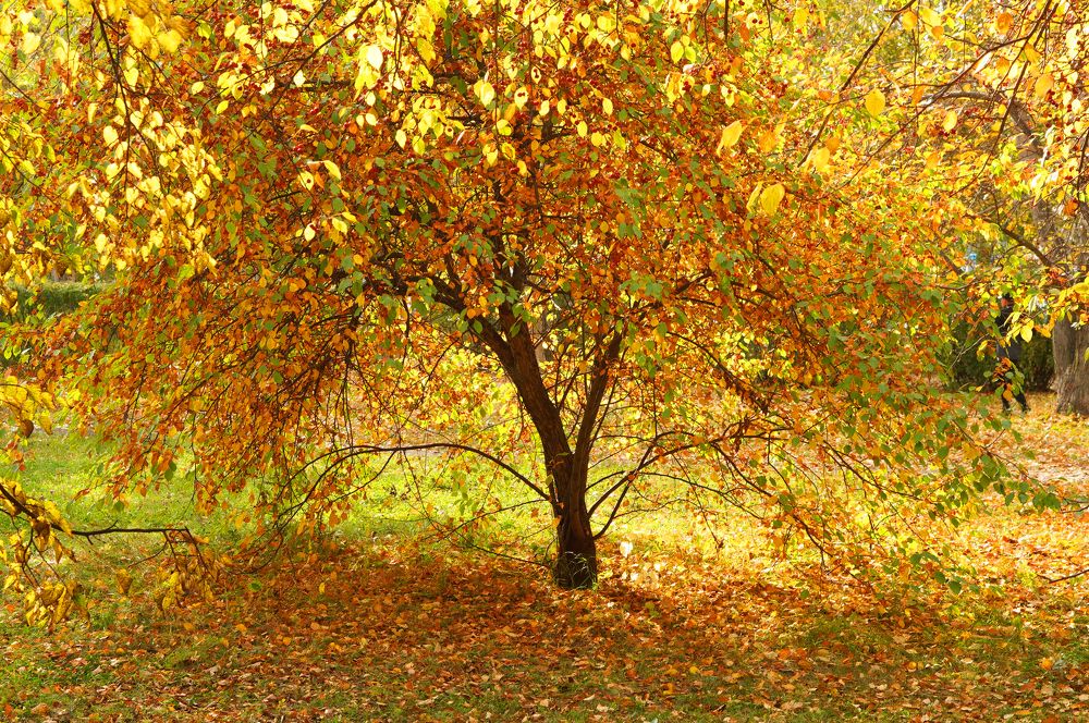 Photograph by Диана Такмашева