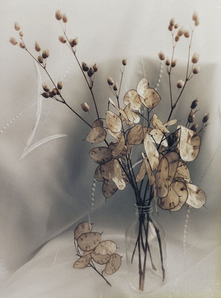 Photograph by Новикова Елена Сергеевна