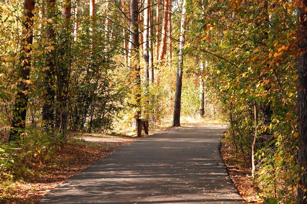 Photograph by Диана Такмашева