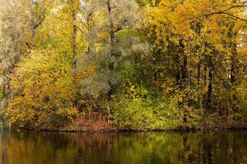 Photograph by Надежда Заломаева