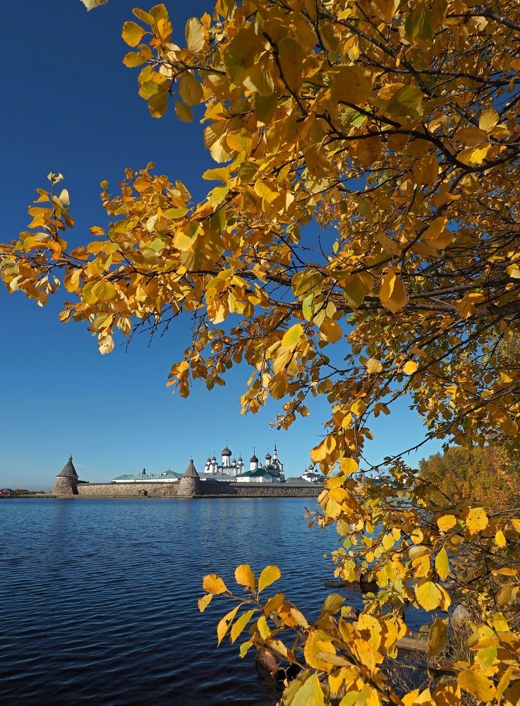 Photograph by Евгений Яковлев