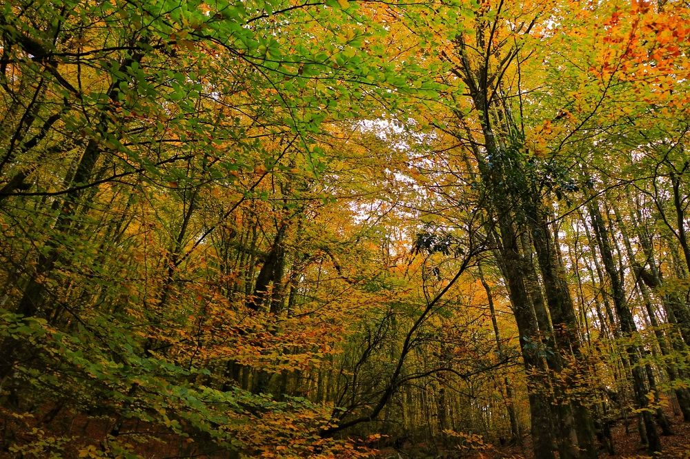 Photograph by Miguel Gonçalves