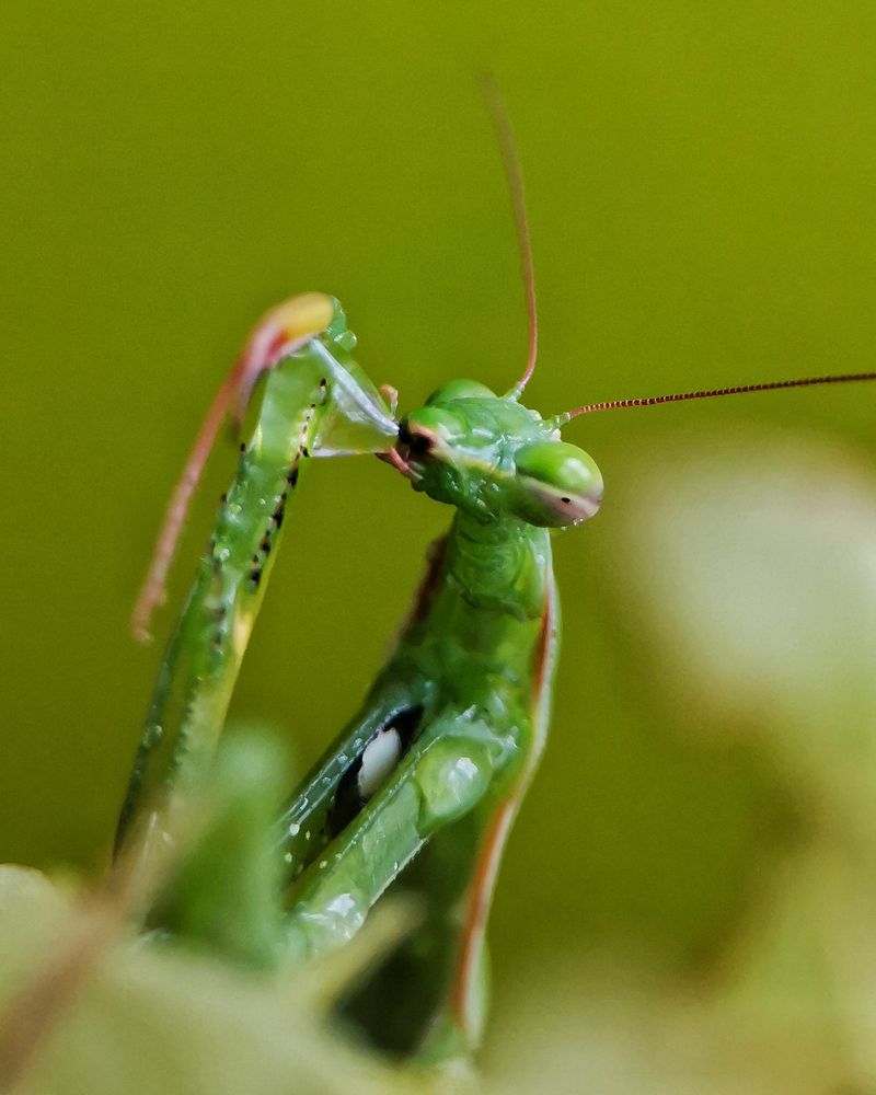 Photograph by Наталья Балабанова