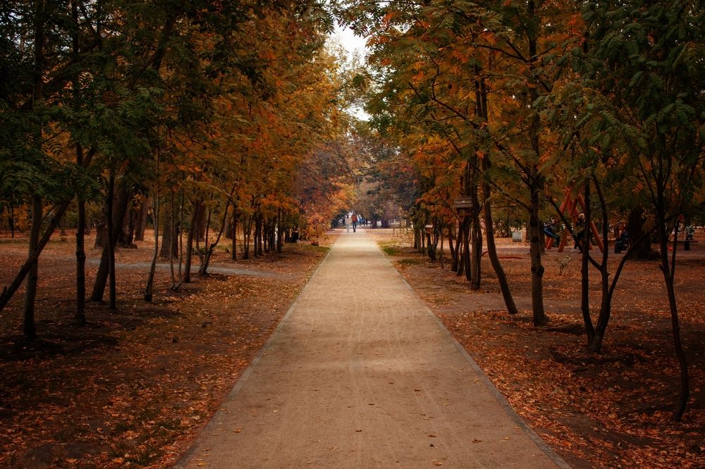 Photograph by Александр Акуленко